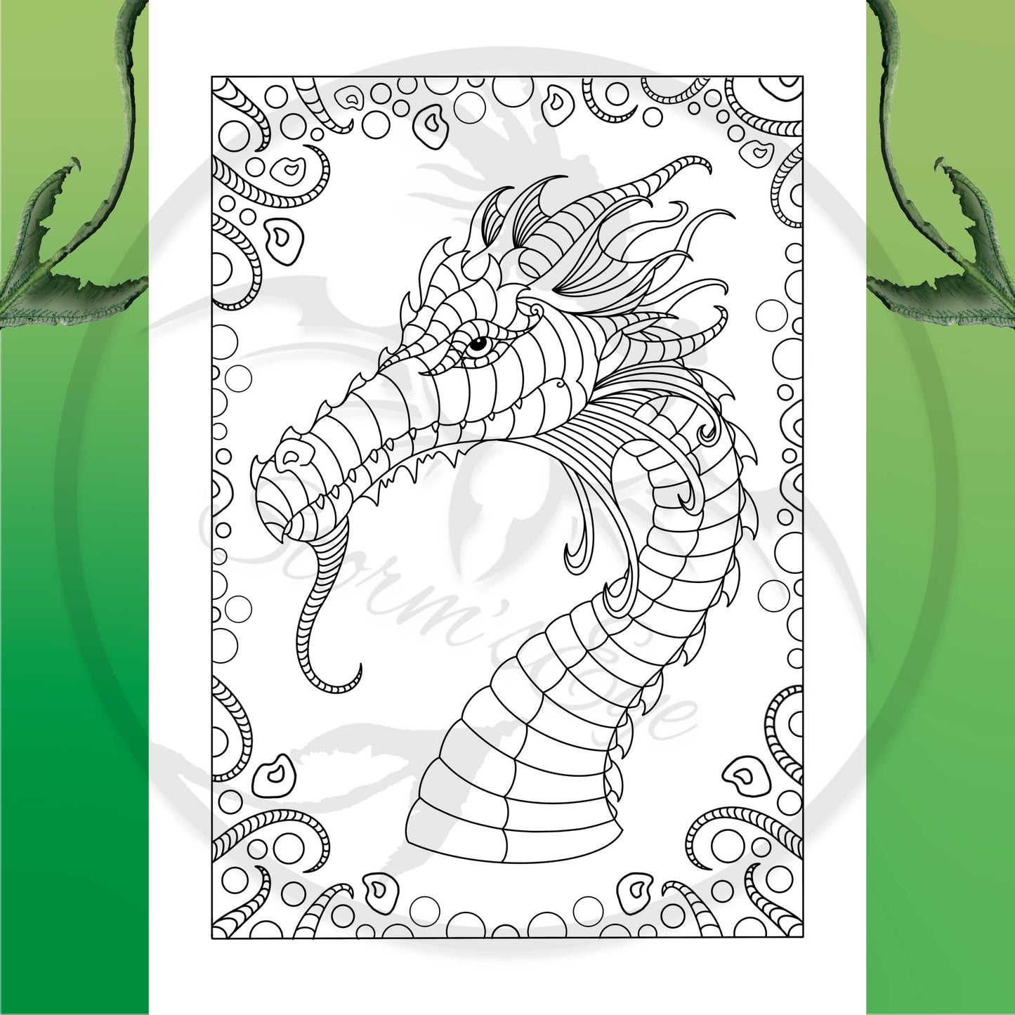 Dragons & Fairies Colouring - Printable Reusable Colouring Pages, Digital Download Print At Home