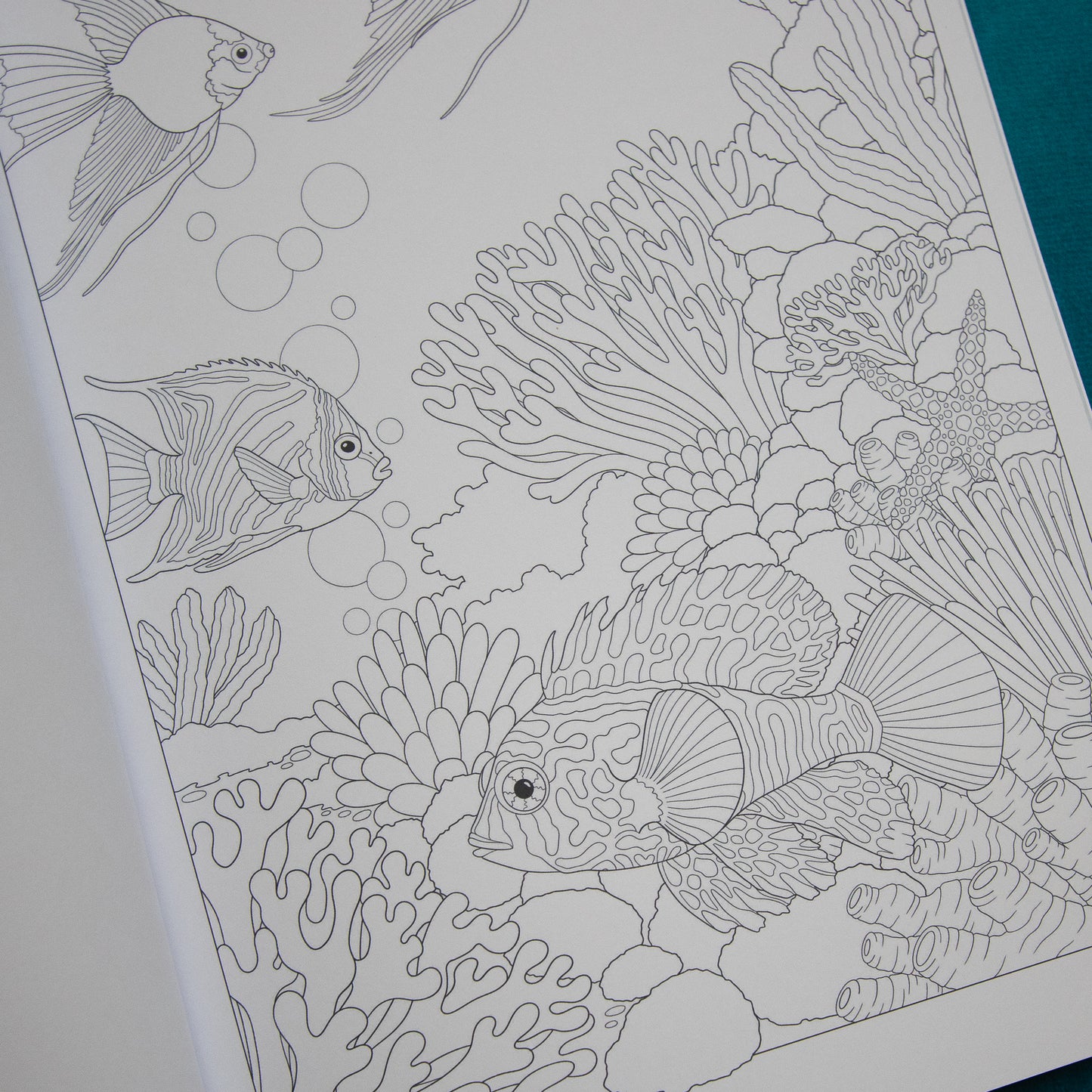 The Flora & Fauna Colouring Book | 32 Plant & Animal Themed Designs to Colour | Paperback A4