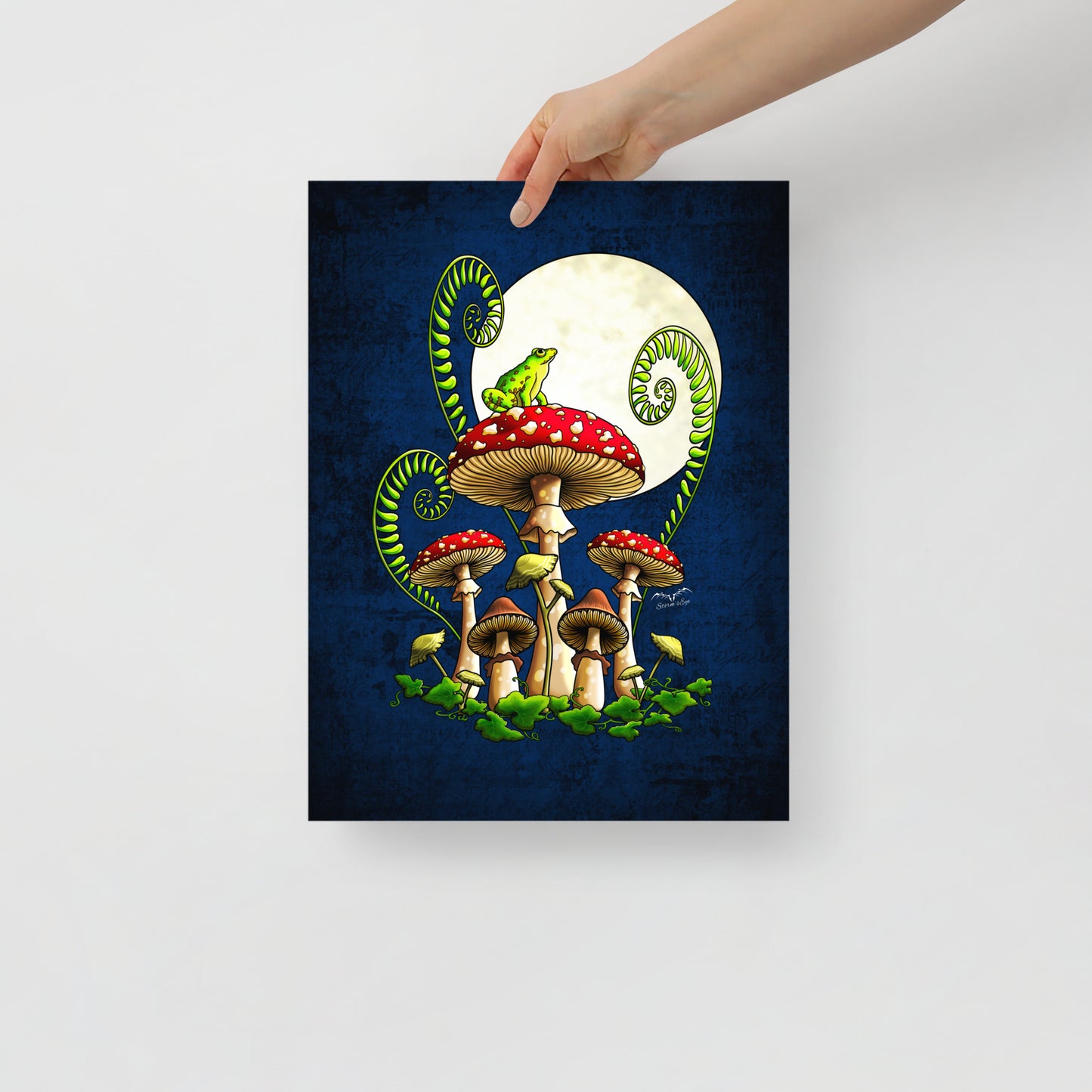 Stormseye Design moonlight mushrooms frog art print 12x16