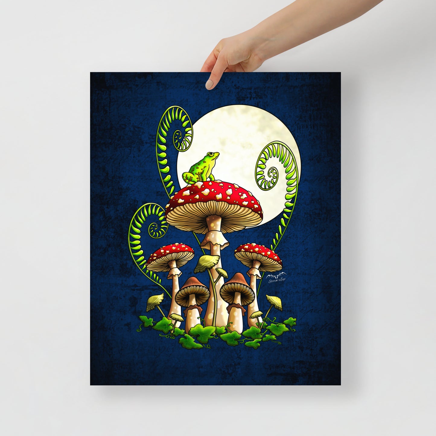 Stormseye Design moonlight mushrooms frog art print 16x20