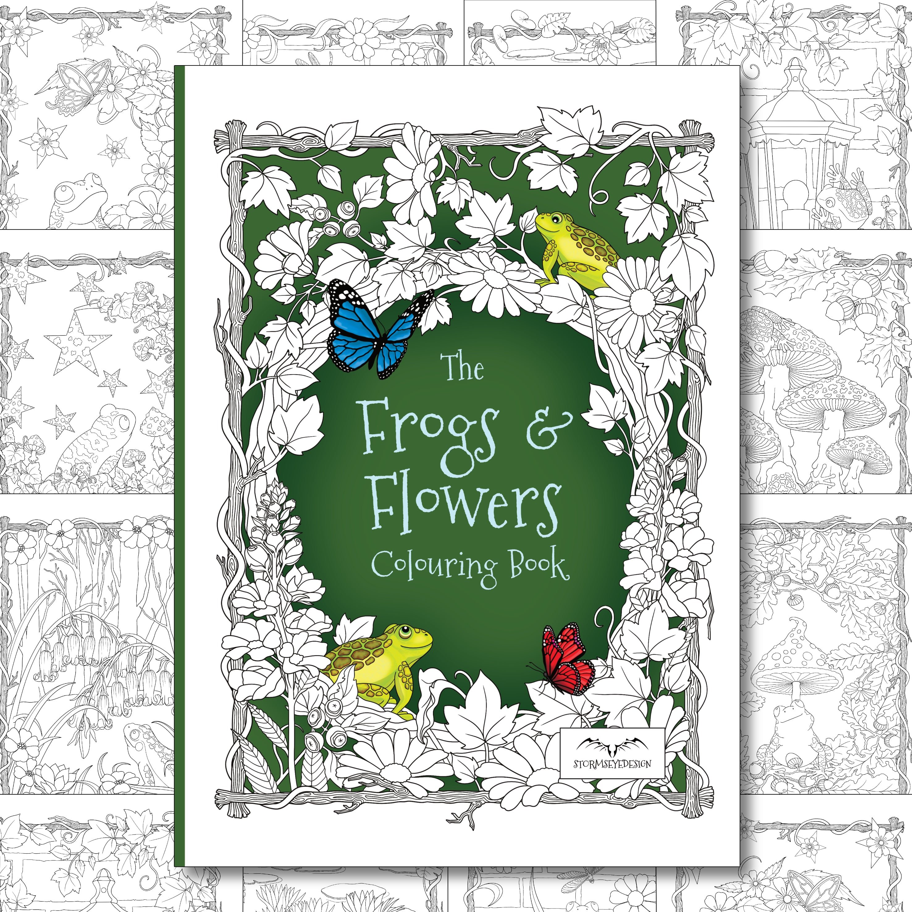 The Frogs And Flowers Colouring Book